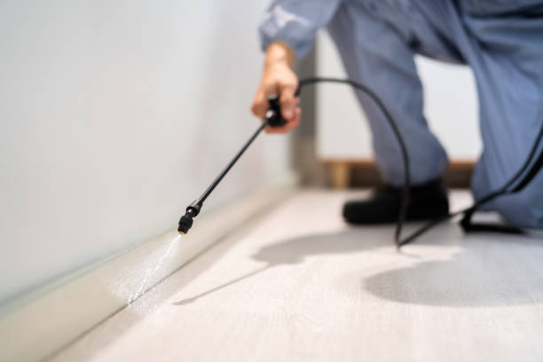 Licensed Mosquito Control service in Eureka, CA - Show Me Pest Control