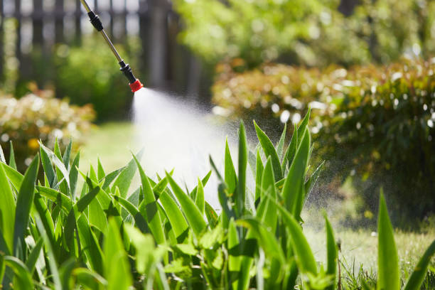 24/7 Emergency Mosquito Control experts in Eureka, CA