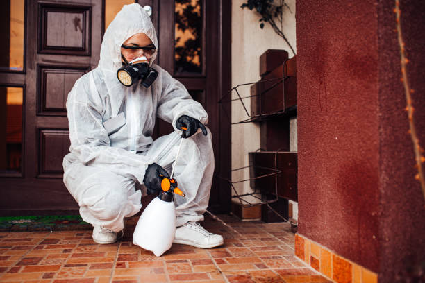 Reliable Mosquito Control contractor in Eureka, CA by Show Me Pest Control