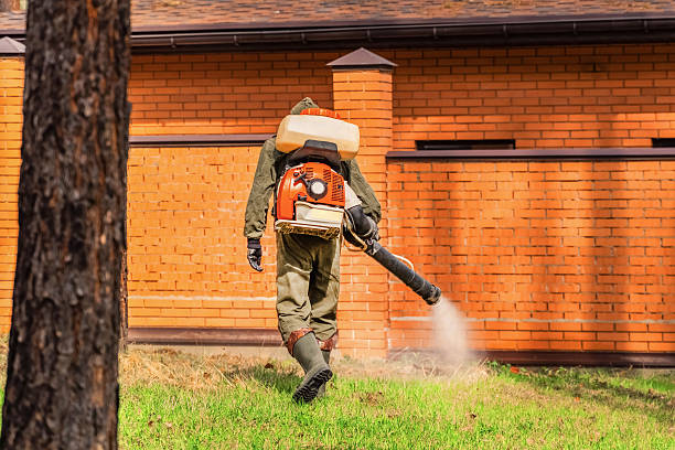 Top rated local Mosquito Control specialists in Eureka, CA